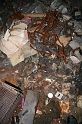 IMG_5706 (Resize)